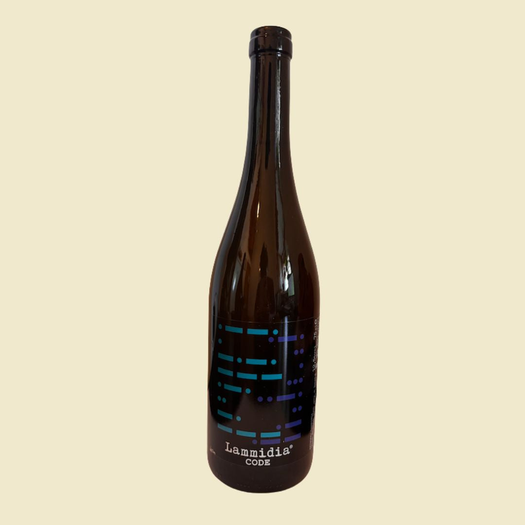LAMMIDIA Code 2023