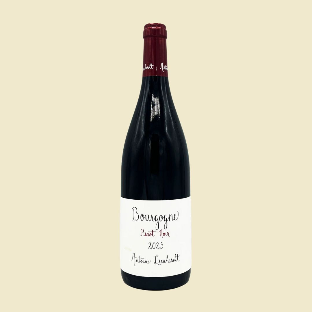 ANTOINE LIENHARDT Bourgogne Rougue 2023