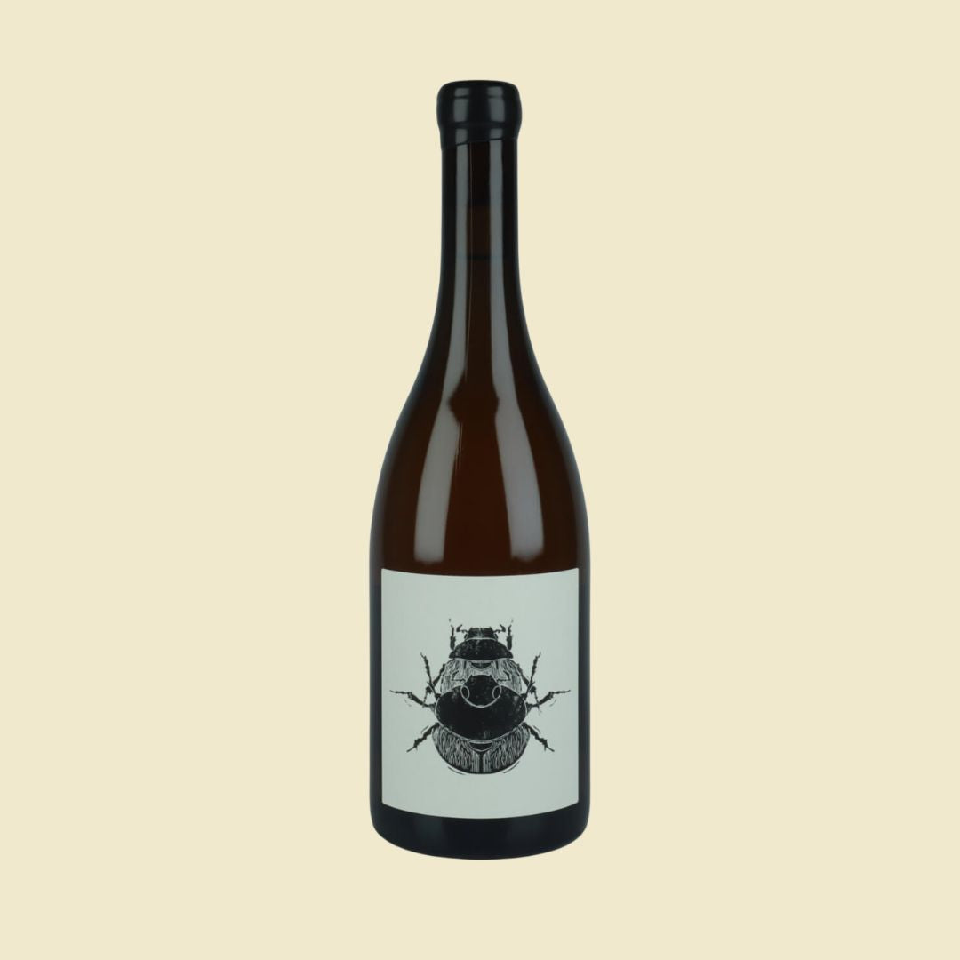 VIN NOE Superposition Puligny Montrachet Le Trezin 2023